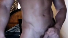 muscle cam